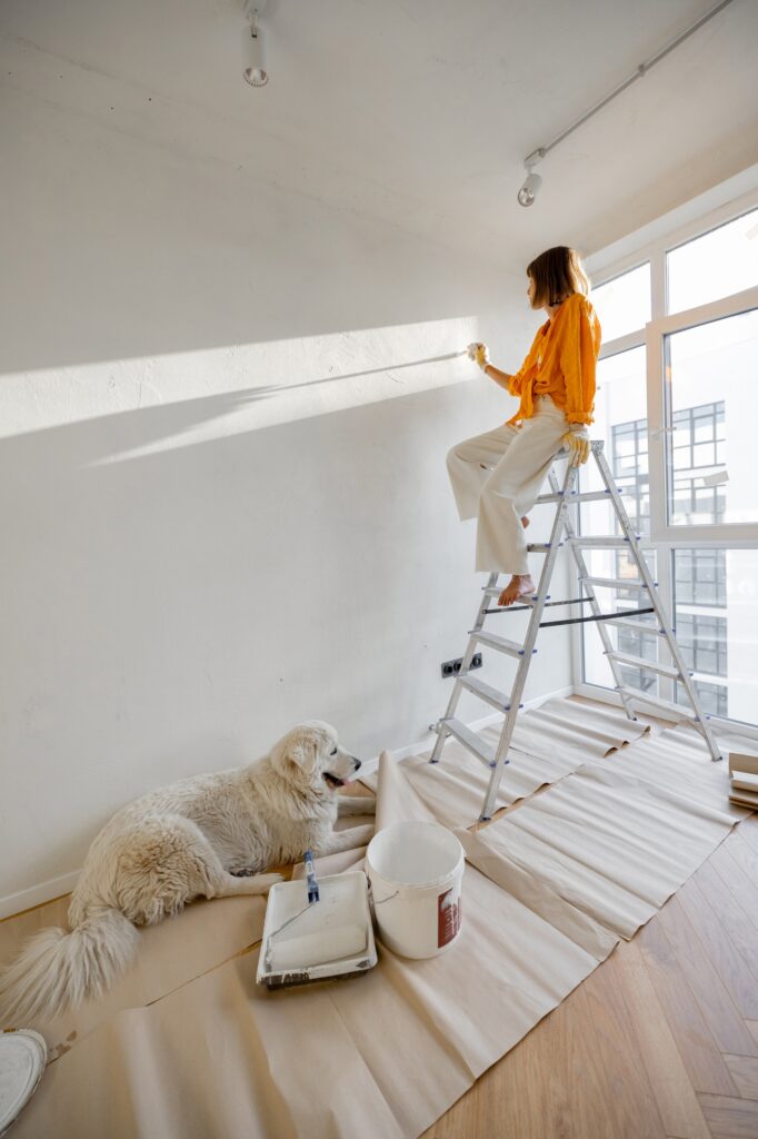 Woman with dog renovating house